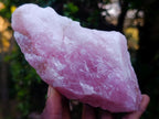 Natural Cobbed Rose Quartz Specimens x 12 From Northern Cape, South Africa - Toprock Gemstones and Minerals 