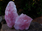 Natural Cobbed Rose Quartz Specimens x 12 From Northern Cape, South Africa - Toprock Gemstones and Minerals 