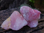 Natural Cobbed Rose Quartz Specimens x 12 From Northern Cape, South Africa - Toprock Gemstones and Minerals 
