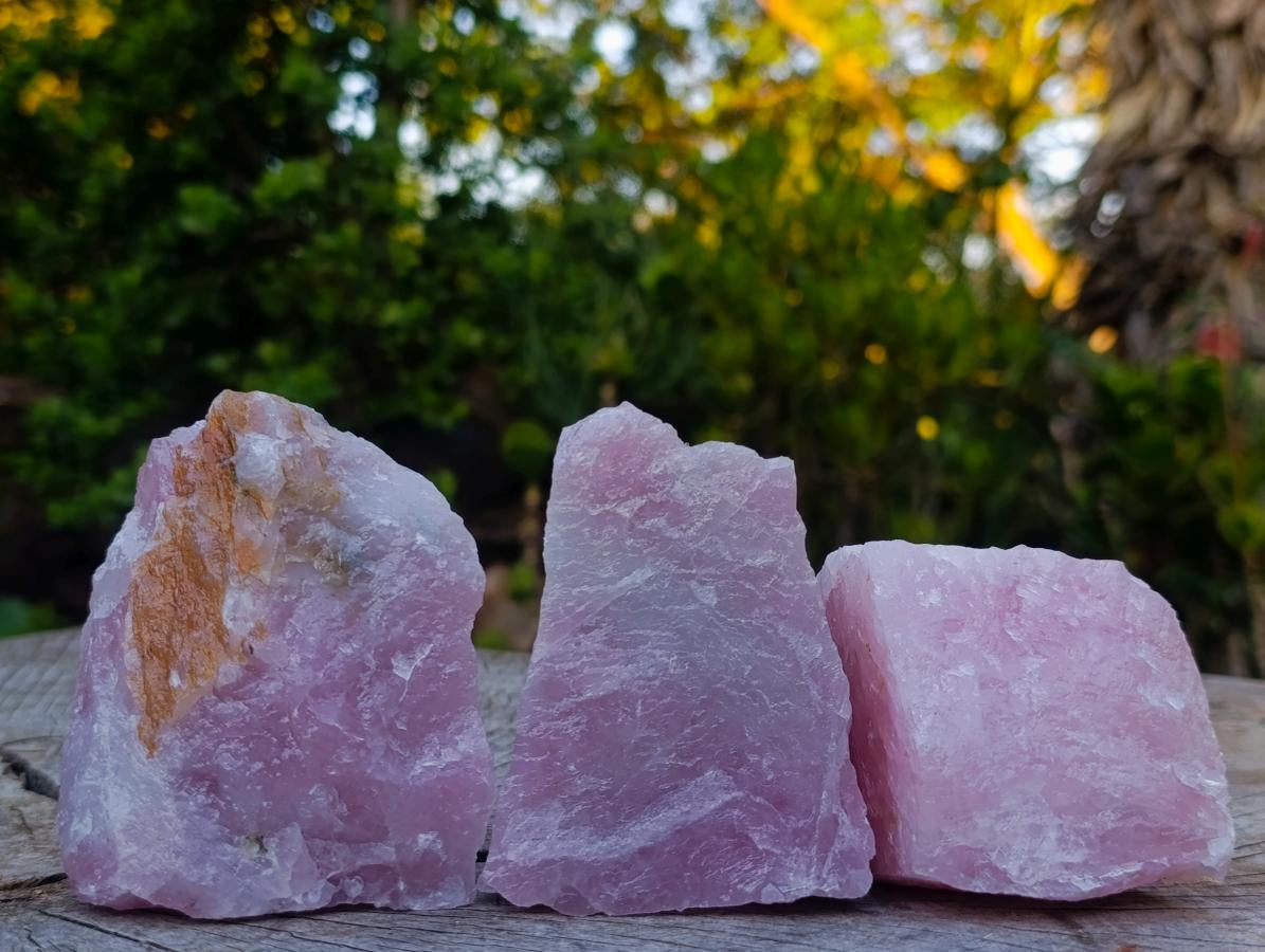 Natural Cobbed Rose Quartz Specimens x 12 From Northern Cape, South Africa - Toprock Gemstones and Minerals 