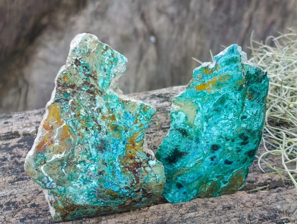 Polished One Side Shattuckite Slices x 12 From Kaokoveld, Namibia - Toprock Gemstones and Minerals 