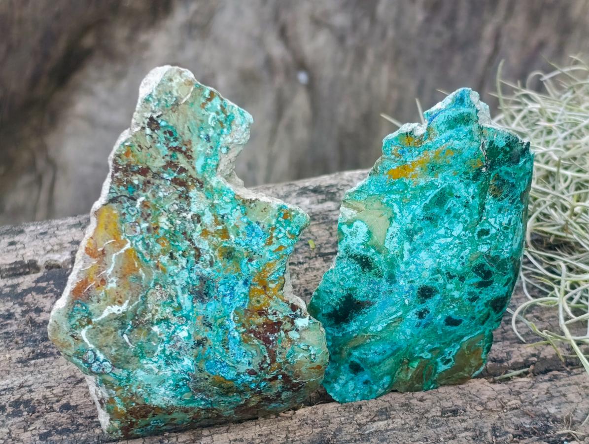 Polished One Side Shattuckite Slices x 12 From Kaokoveld, Namibia - Toprock Gemstones and Minerals 