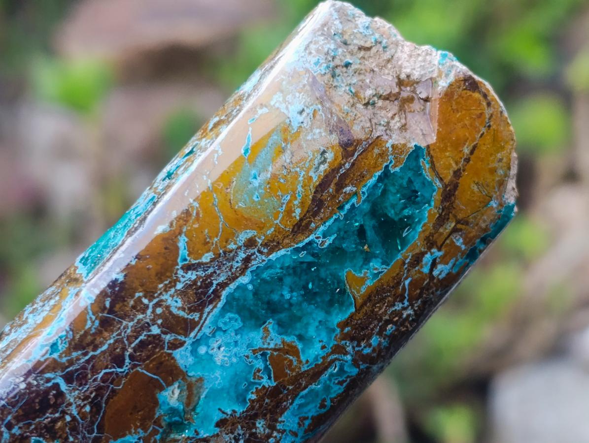 Polished One Side Shattuckite Slices x 12 From Kaokoveld, Namibia - Toprock Gemstones and Minerals 