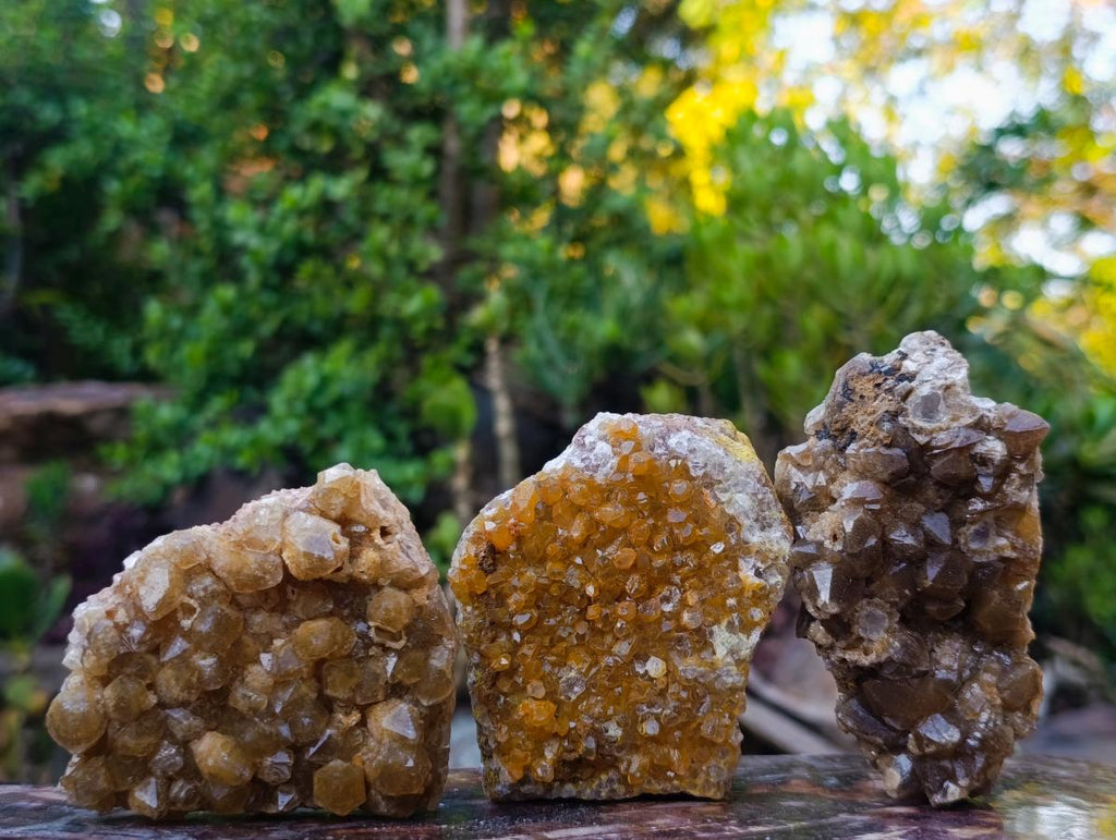 Natural Golden Limonite Quartz Clusters x 12 From Solwezi, Zambia - Toprock Gemstones and Minerals 