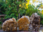 Natural Golden Limonite Quartz Clusters x 12 From Solwezi, Zambia - Toprock Gemstones and Minerals 