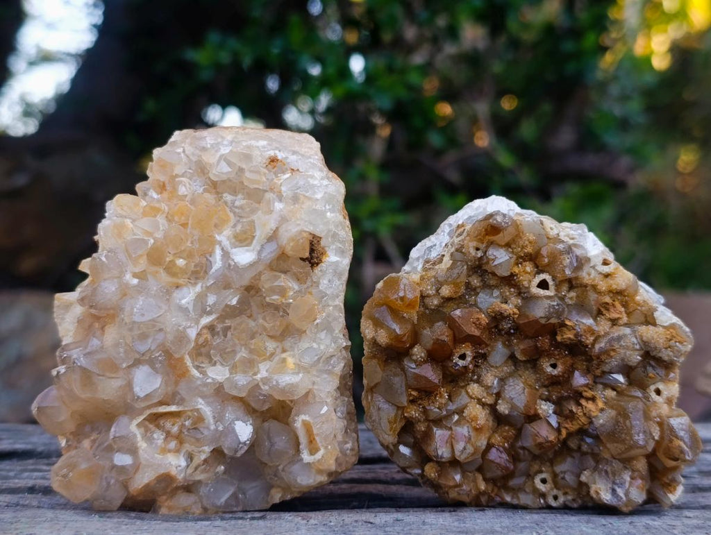 Natural Golden Limonite Quartz Clusters x 12 From Solwezi, Zambia - Toprock Gemstones and Minerals 