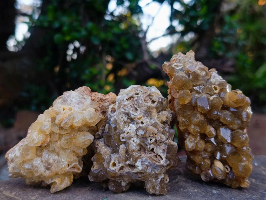 Natural Golden Limonite Quartz Clusters x 12 From Solwezi, Zambia - Toprock Gemstones and Minerals 
