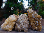 Natural Golden Limonite Quartz Clusters x 12 From Solwezi, Zambia - Toprock Gemstones and Minerals 