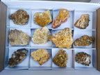 Natural Golden Limonite Quartz Clusters x 12 From Solwezi, Zambia - Toprock Gemstones and Minerals 