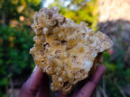 Natural Golden Limonite Quartz Clusters x 12 From Solwezi, Zambia - Toprock Gemstones and Minerals 