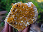 Natural Golden Limonite Quartz Clusters x 12 From Solwezi, Zambia - Toprock Gemstones and Minerals 