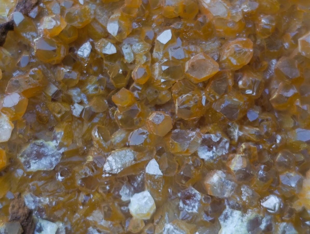 Natural Golden Limonite Quartz Clusters x 12 From Solwezi, Zambia - Toprock Gemstones and Minerals 