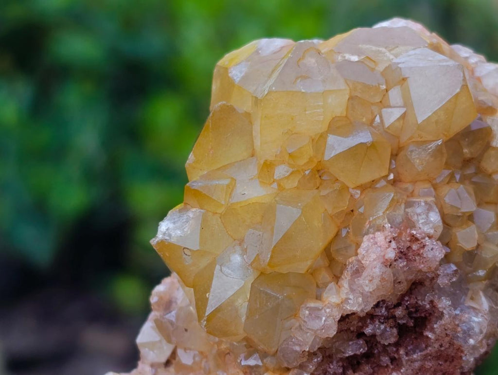 Natural Golden Limonite Quartz Clusters x 12 From Solwezi, Zambia - Toprock Gemstones and Minerals 
