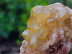 Natural Golden Limonite Quartz Clusters x 12 From Solwezi, Zambia - Toprock Gemstones and Minerals 