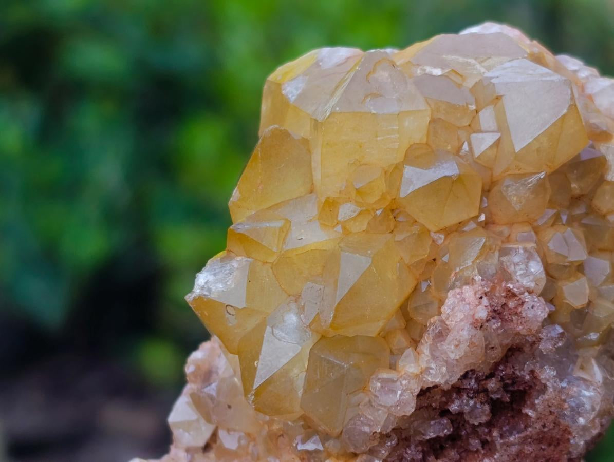 Natural Golden Limonite Quartz Clusters x 12 From Solwezi, Zambia - Toprock Gemstones and Minerals 