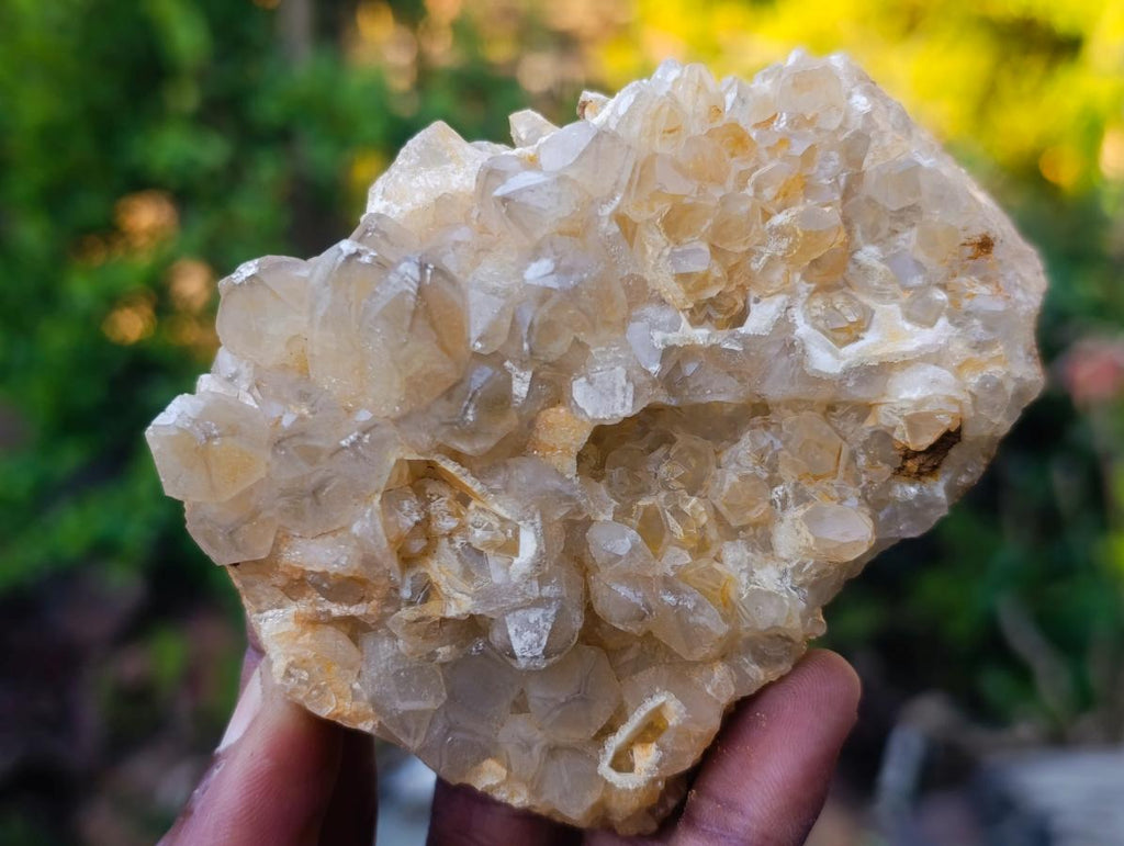 Natural Golden Limonite Quartz Clusters x 12 From Solwezi, Zambia - Toprock Gemstones and Minerals 