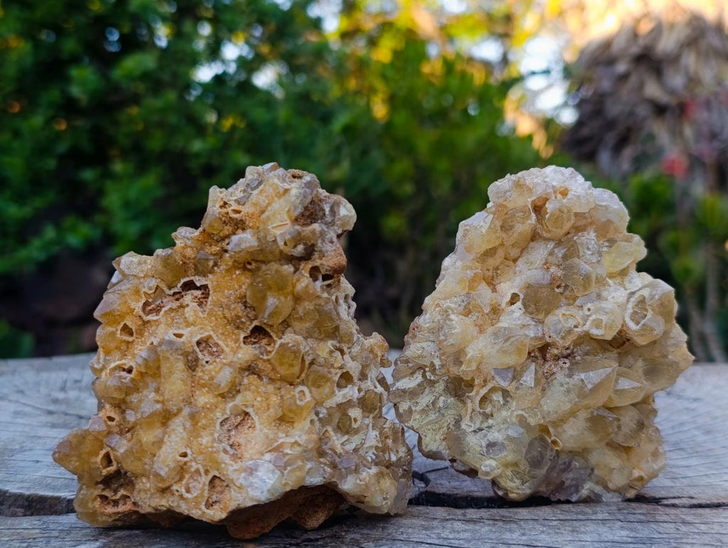 Natural Golden Limonite Quartz Clusters x 12 From Solwezi, Zambia - Toprock Gemstones and Minerals 