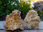 Natural Golden Limonite Quartz Clusters x 12 From Solwezi, Zambia - Toprock Gemstones and Minerals 