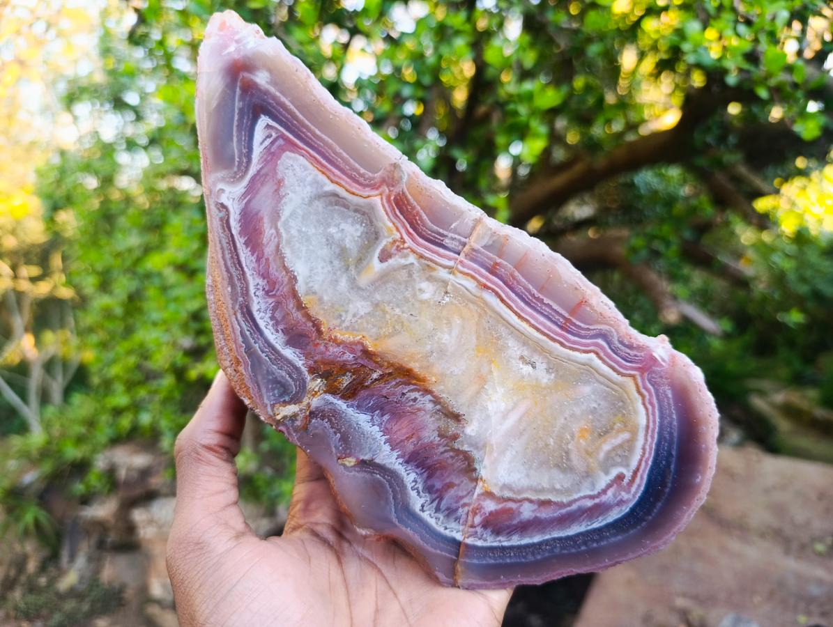 Polished Large One Side Red Shashe River Agate Nodule x 1 From Shashe River, Zimbabwe - Toprock Gemstones and Minerals 