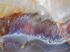 Polished Large One Side Red Shashe River Agate Nodule x 1 From Shashe River, Zimbabwe - Toprock Gemstones and Minerals 