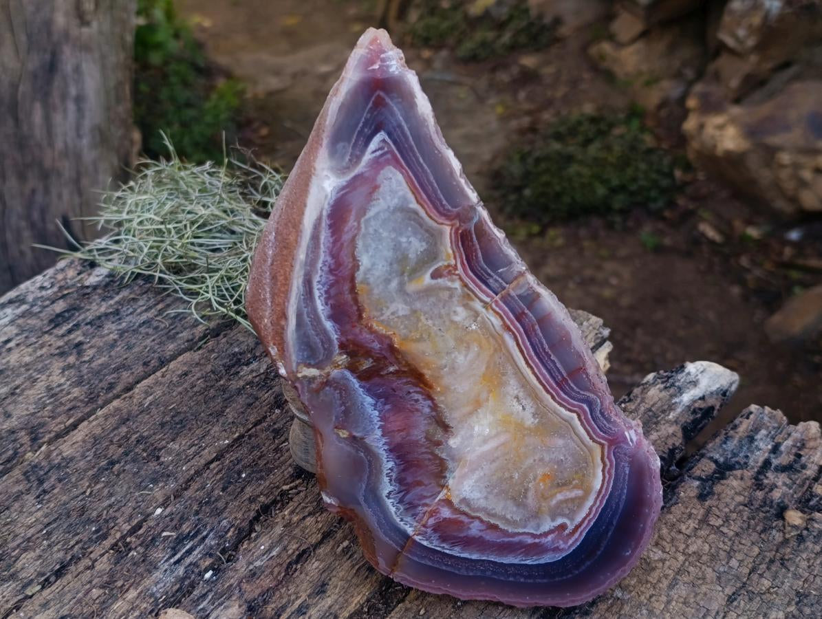 Polished Large One Side Red Shashe River Agate Nodule x 1 From Shashe River, Zimbabwe - Toprock Gemstones and Minerals 