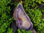 Polished Large One Side Red Shashe River Agate Nodule x 1 From Shashe River, Zimbabwe - Toprock Gemstones and Minerals 
