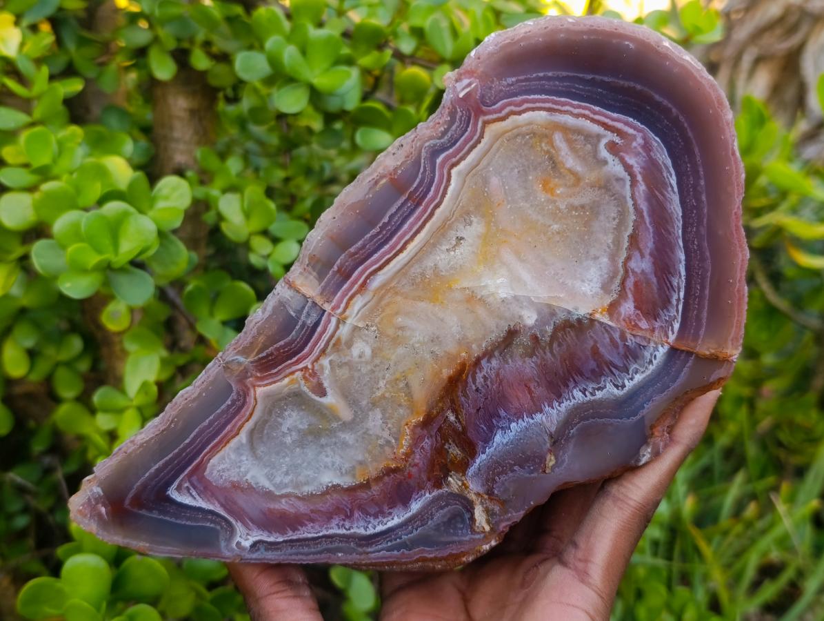 Polished Large One Side Red Shashe River Agate Nodule x 1 From Shashe River, Zimbabwe - Toprock Gemstones and Minerals 