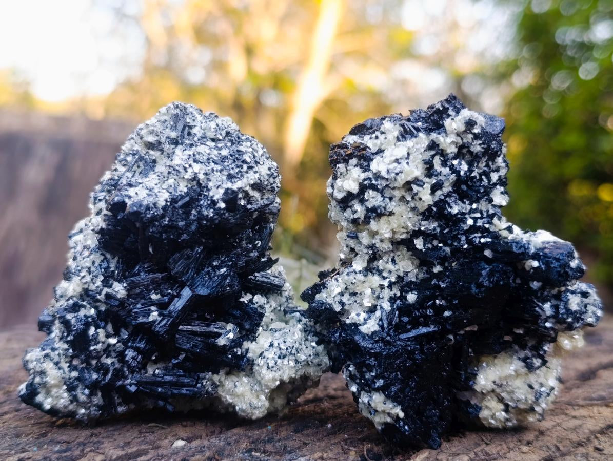 Natural Schorl Black Tourmaline Crystal Specimens x 6 From Erongo, Namibia - Toprock Gemstones and Minerals 