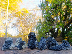 Natural Schorl Black Tourmaline Crystal Specimens x 6 From Erongo, Namibia - Toprock Gemstones and Minerals 
