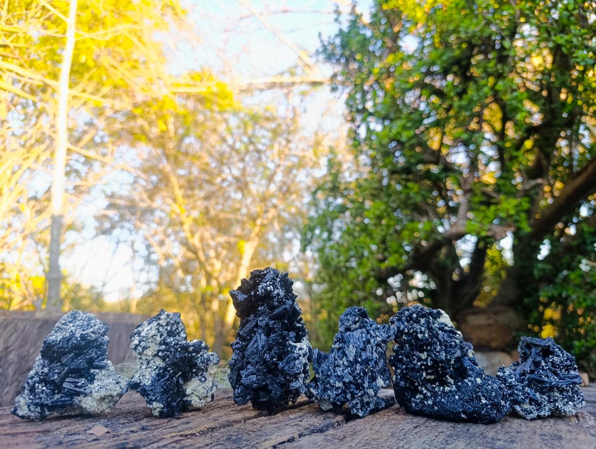 Natural Schorl Black Tourmaline Crystal Specimens x 6 From Erongo, Namibia - Toprock Gemstones and Minerals 