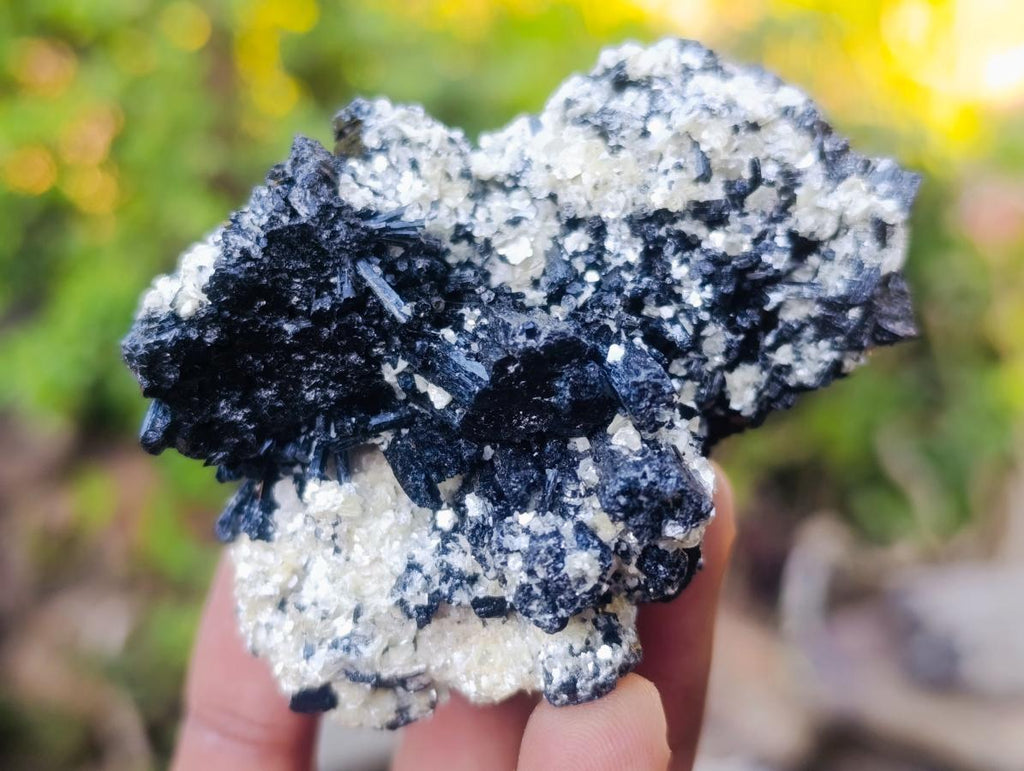 Natural Schorl Black Tourmaline Crystal Specimens x 6 From Erongo, Namibia - Toprock Gemstones and Minerals 