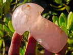 Polished Gemmy Rose Quartz Mushrooms x 6 From Madagascar - Toprock Gemstones and Minerals 