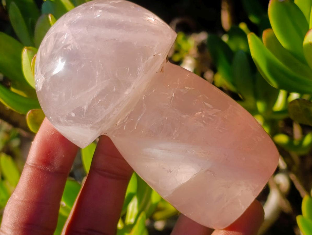 Polished Gemmy Rose Quartz Mushrooms x 6 From Madagascar - Toprock Gemstones and Minerals 