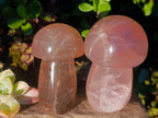 Polished Gemmy Rose Quartz Mushrooms x 6 From Madagascar - Toprock Gemstones and Minerals 