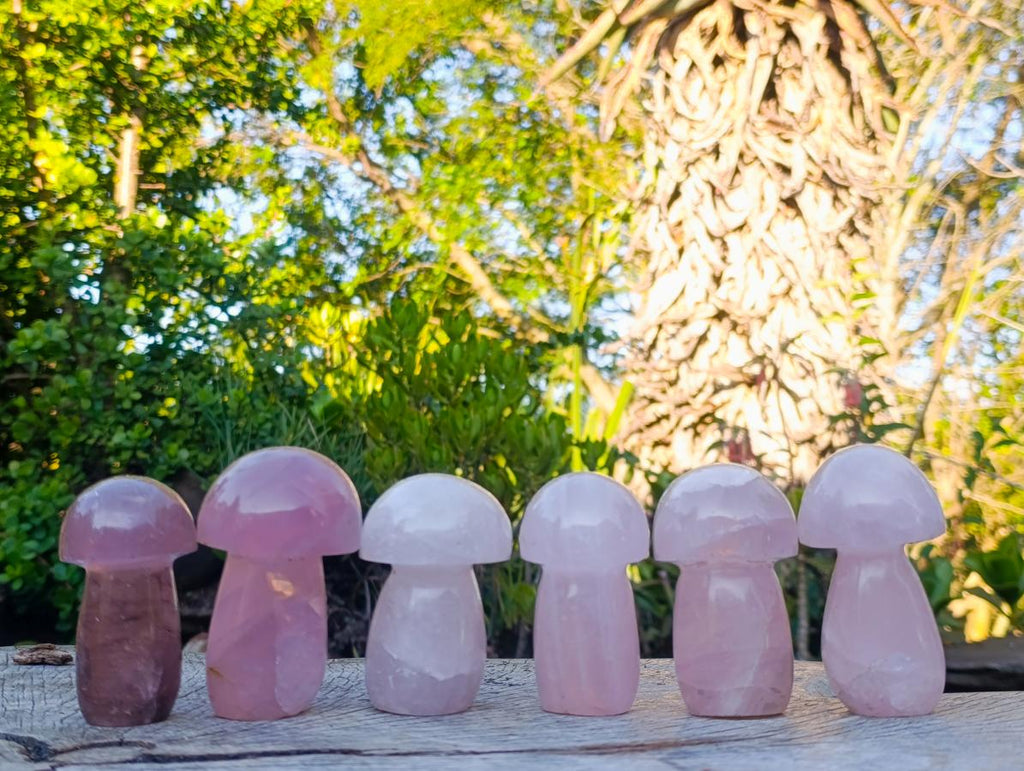 Polished Gemmy Rose Quartz Mushrooms x 6 From Madagascar - Toprock Gemstones and Minerals 