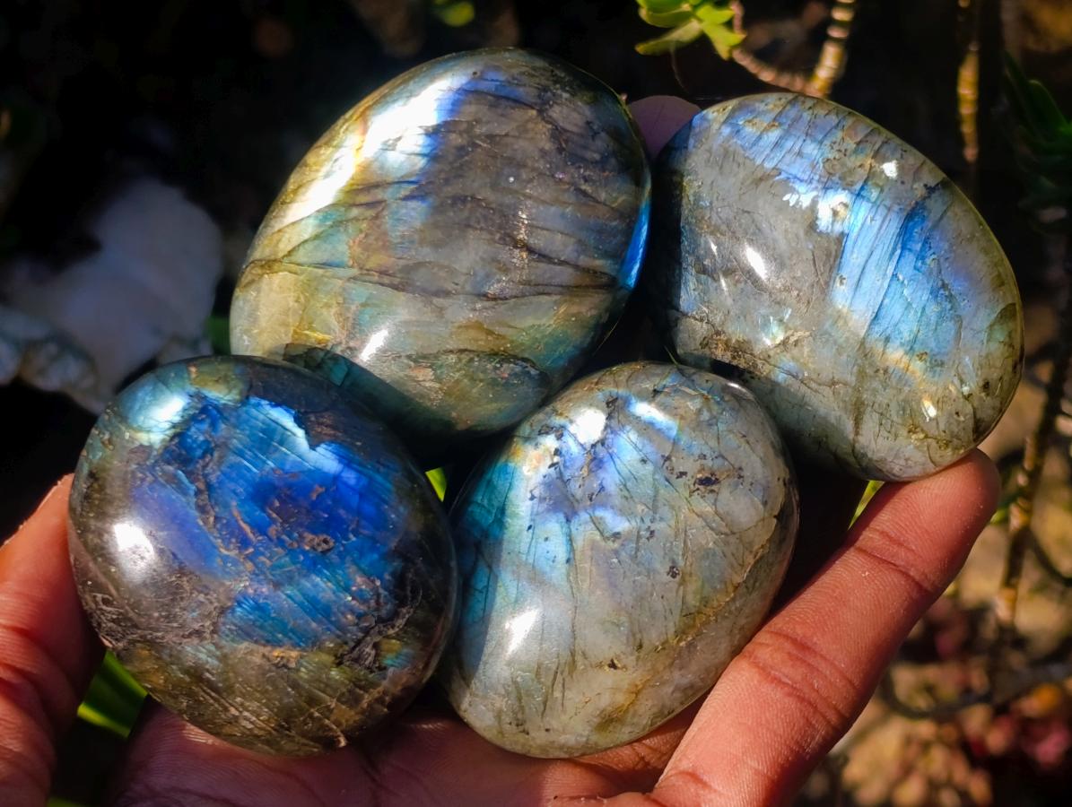 Polished Labradorite Palm Stones x 20 From Madagascar - Toprock Gemstones and Minerals 