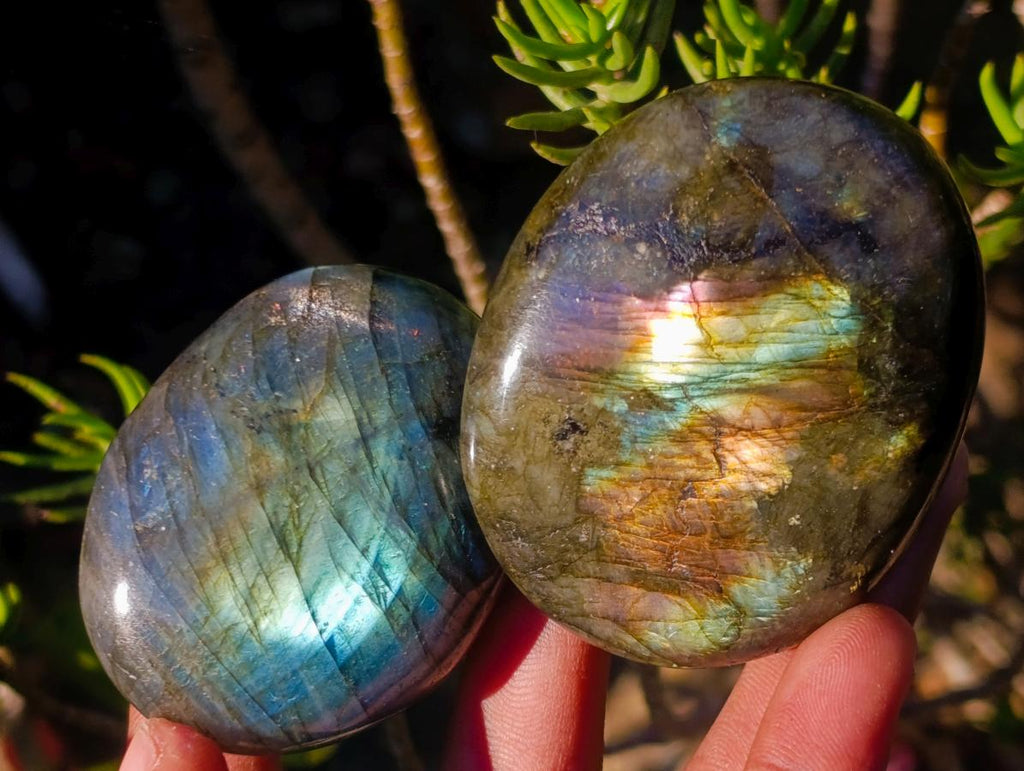 Polished Labradorite Palm Stones x 20 From Madagascar - Toprock Gemstones and Minerals 