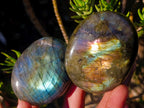 Polished Labradorite Palm Stones x 20 From Madagascar - Toprock Gemstones and Minerals 