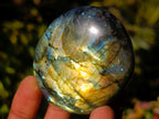 Polished Labradorite Palm Stones x 20 From Madagascar - Toprock Gemstones and Minerals 