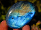 Polished Labradorite Palm Stones x 20 From Madagascar - Toprock Gemstones and Minerals 