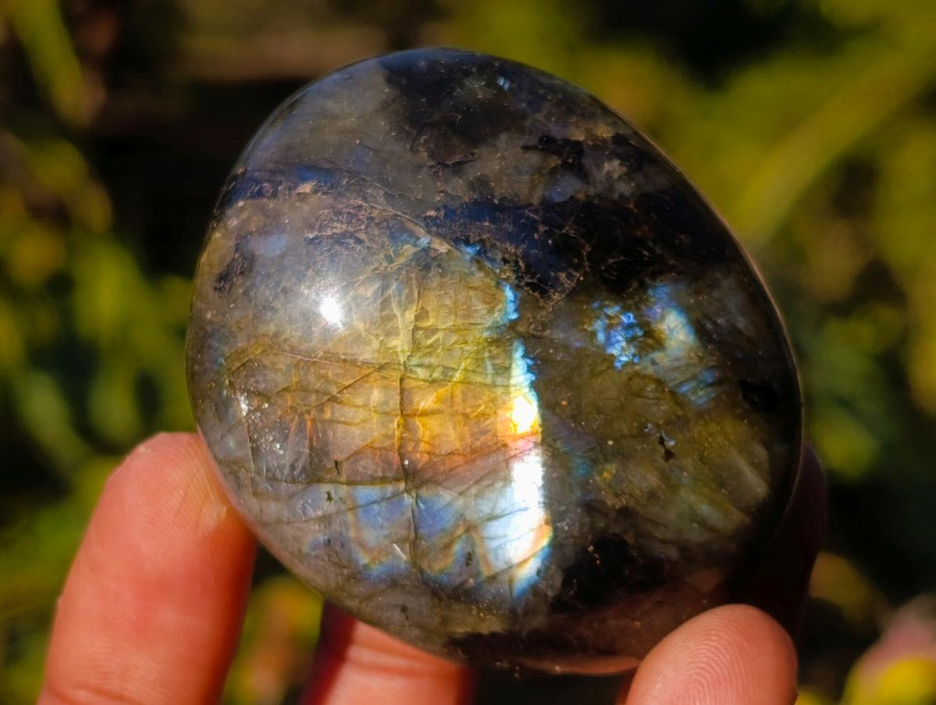 Polished Labradorite Palm Stones x 20 From Madagascar - Toprock Gemstones and Minerals 