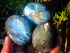 Polished Labradorite Palm Stones x 20 From Madagascar - Toprock Gemstones and Minerals 