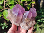 Natural Jacaranda Amethyst Clusters x 2 From Mumbwa, Zambia - Toprock Gemstones and Minerals 