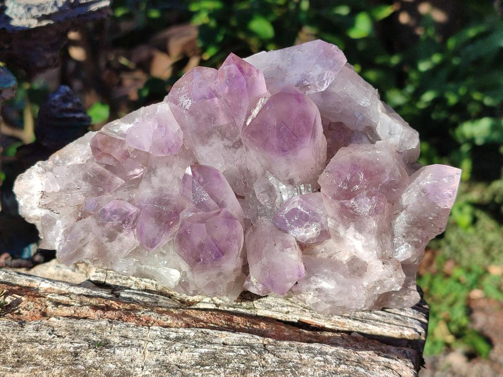 Natural Jacaranda Amethyst Clusters x 2 From Mumbwa, Zambia - Toprock Gemstones and Minerals 