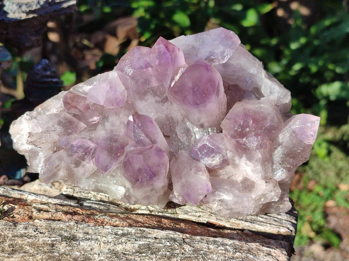 Natural Jacaranda Amethyst Clusters x 2 From Mumbwa, Zambia - Toprock Gemstones and Minerals 