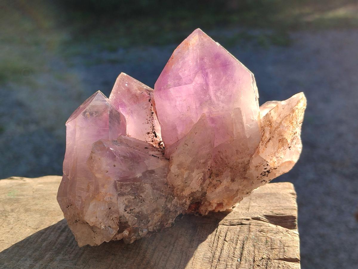 Natural Jacaranda Amethyst Clusters x 2 From Mumbwa, Zambia - Toprock Gemstones and Minerals 