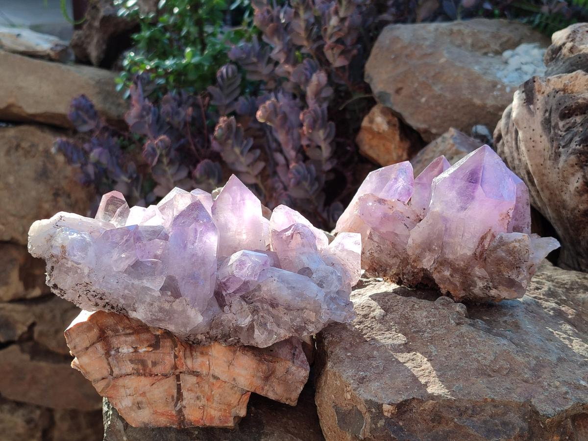 Natural Jacaranda Amethyst Clusters x 2 From Mumbwa, Zambia - Toprock Gemstones and Minerals 