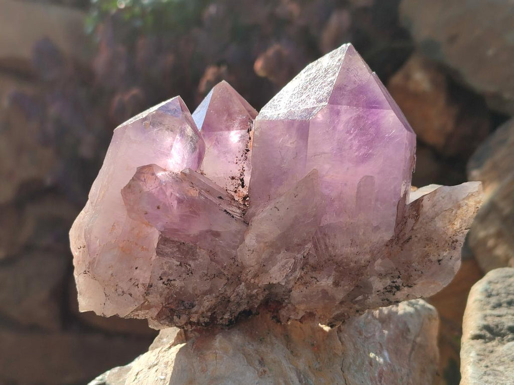 Natural Jacaranda Amethyst Clusters x 2 From Mumbwa, Zambia - Toprock Gemstones and Minerals 