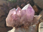 Natural Jacaranda Amethyst Clusters x 2 From Mumbwa, Zambia - Toprock Gemstones and Minerals 
