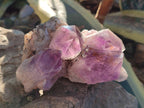 Natural Jacaranda Amethyst Clusters x 2 From Mumbwa, Zambia - Toprock Gemstones and Minerals 